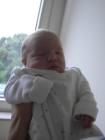 thumbs/PICT1327.jpg