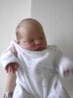 thumbs/PICT1329.jpg