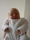 thumbs/PICT1330.jpg