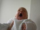 thumbs/PICT1331.jpg