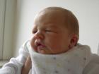 thumbs/PICT1333.jpg