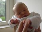thumbs/PICT1334.jpg